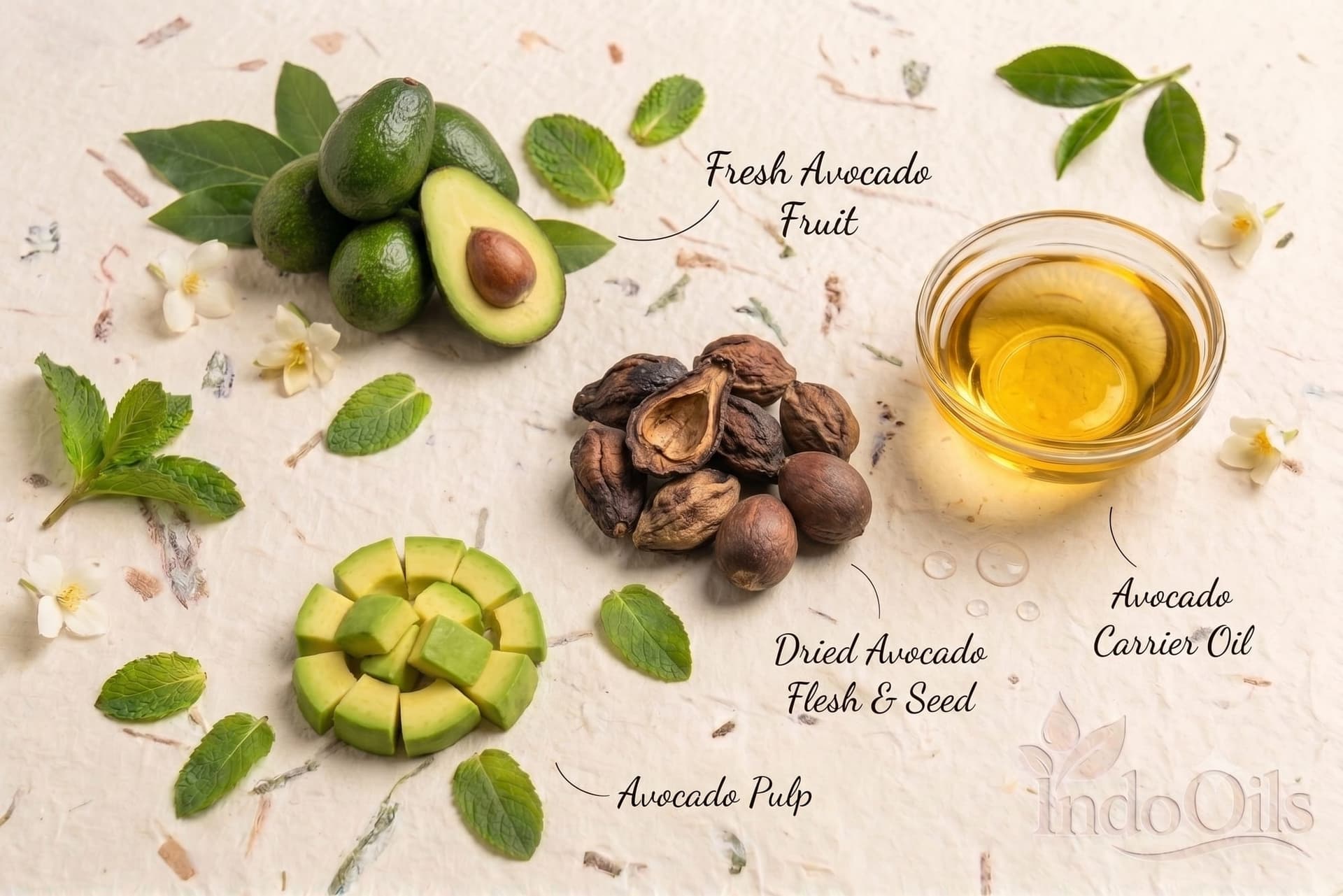 Avocado Carrier Oil