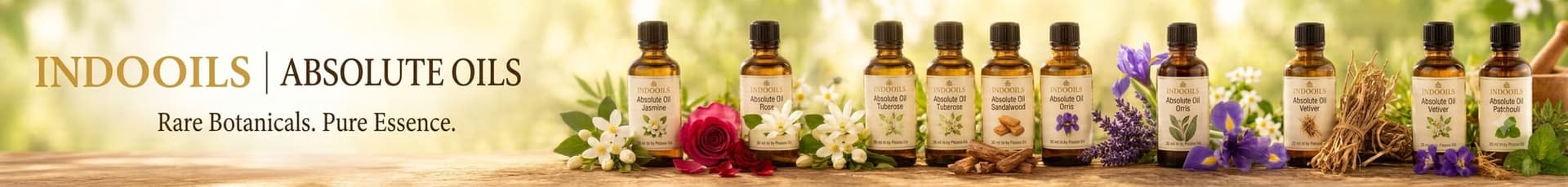 Floral Absolute Oils – Wholesale Supplier in India