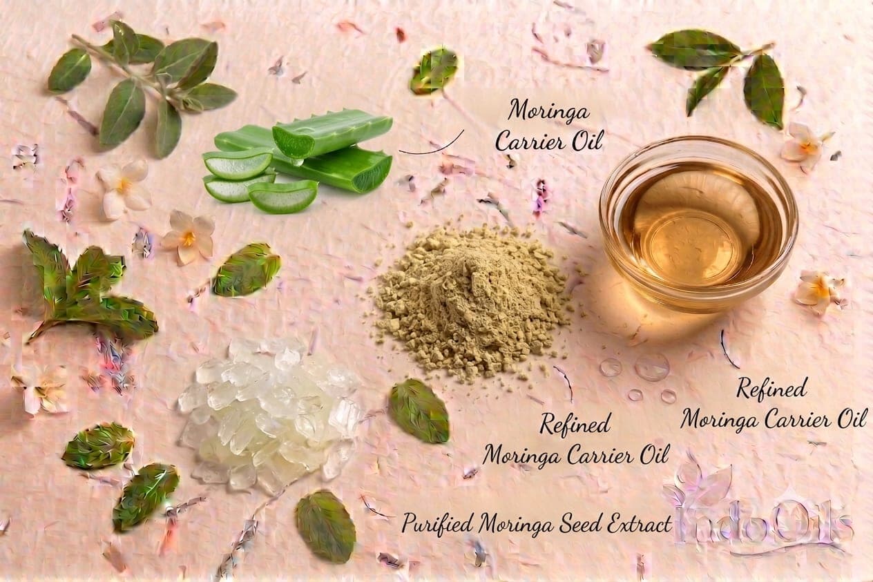Moringa Organic Carrier Oil