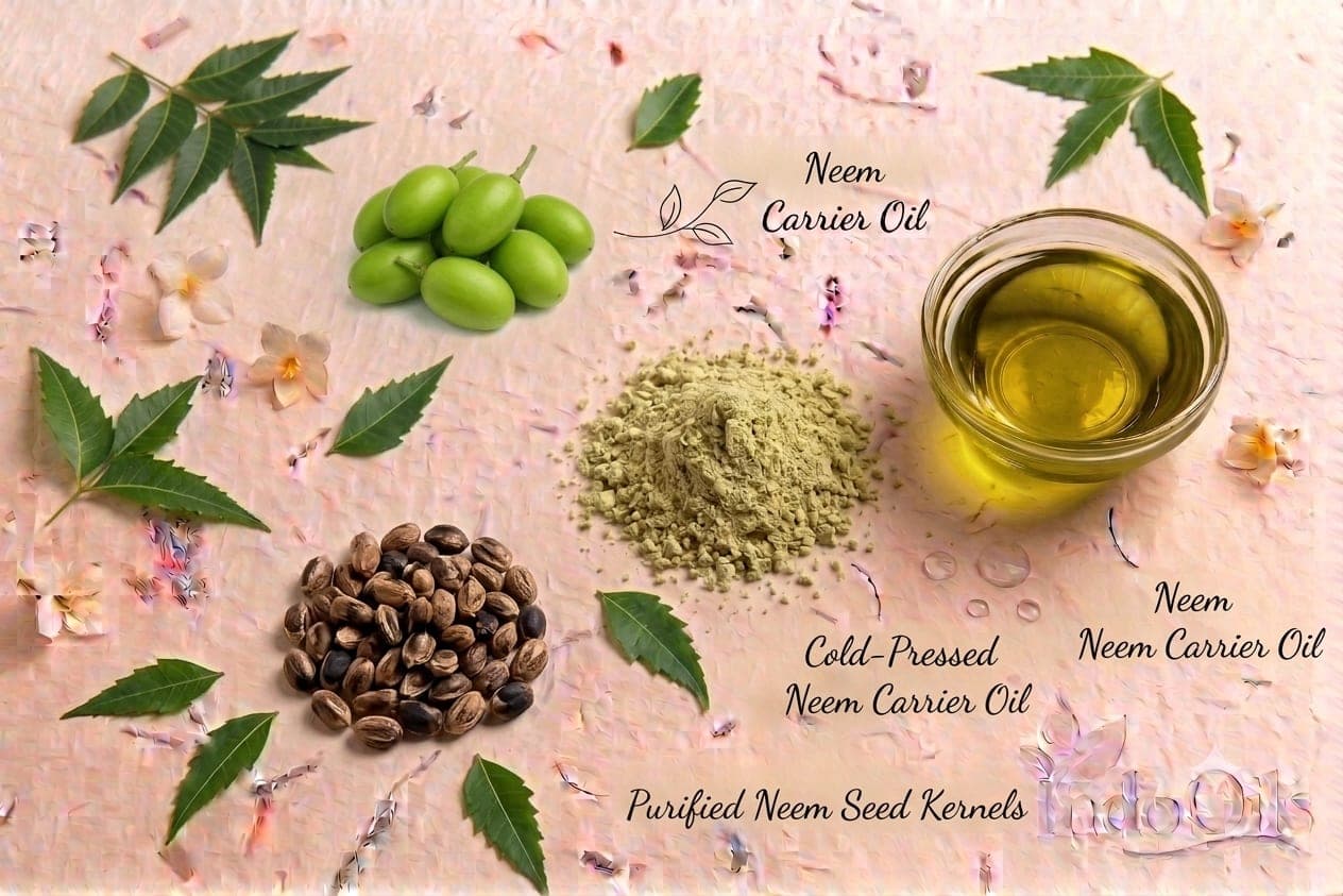Neem Organic Carrier Oil
