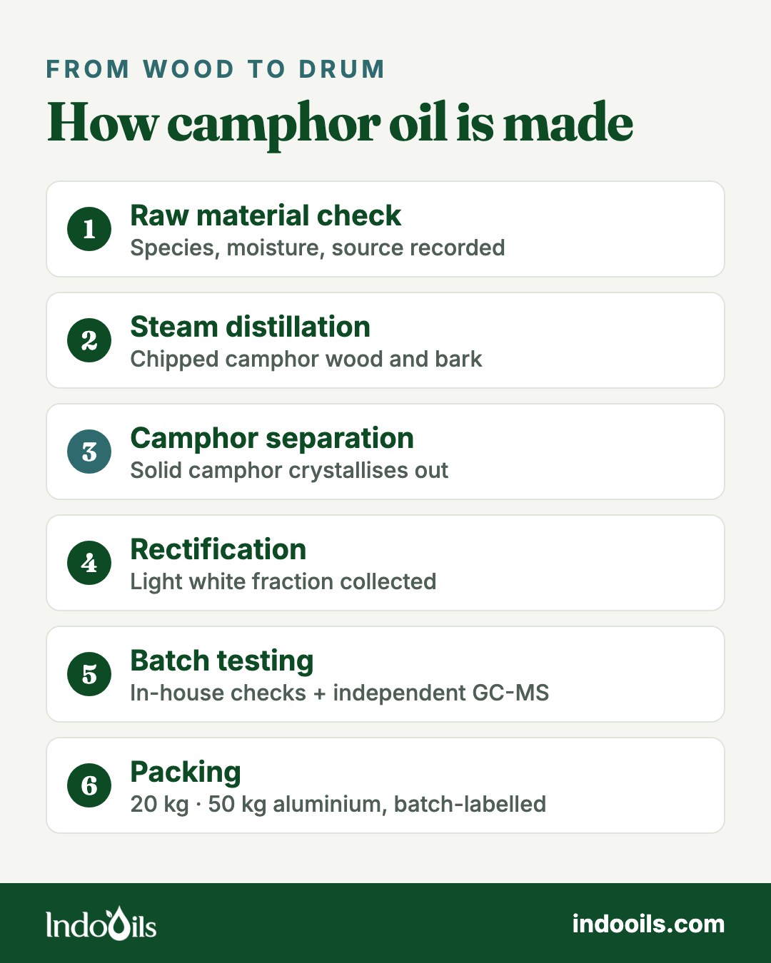 How camphor oil is made, in six steps: raw material check, steam distillation, camphor separation, rectification, batch testing, packing in 20 kg and 50 kg aluminium