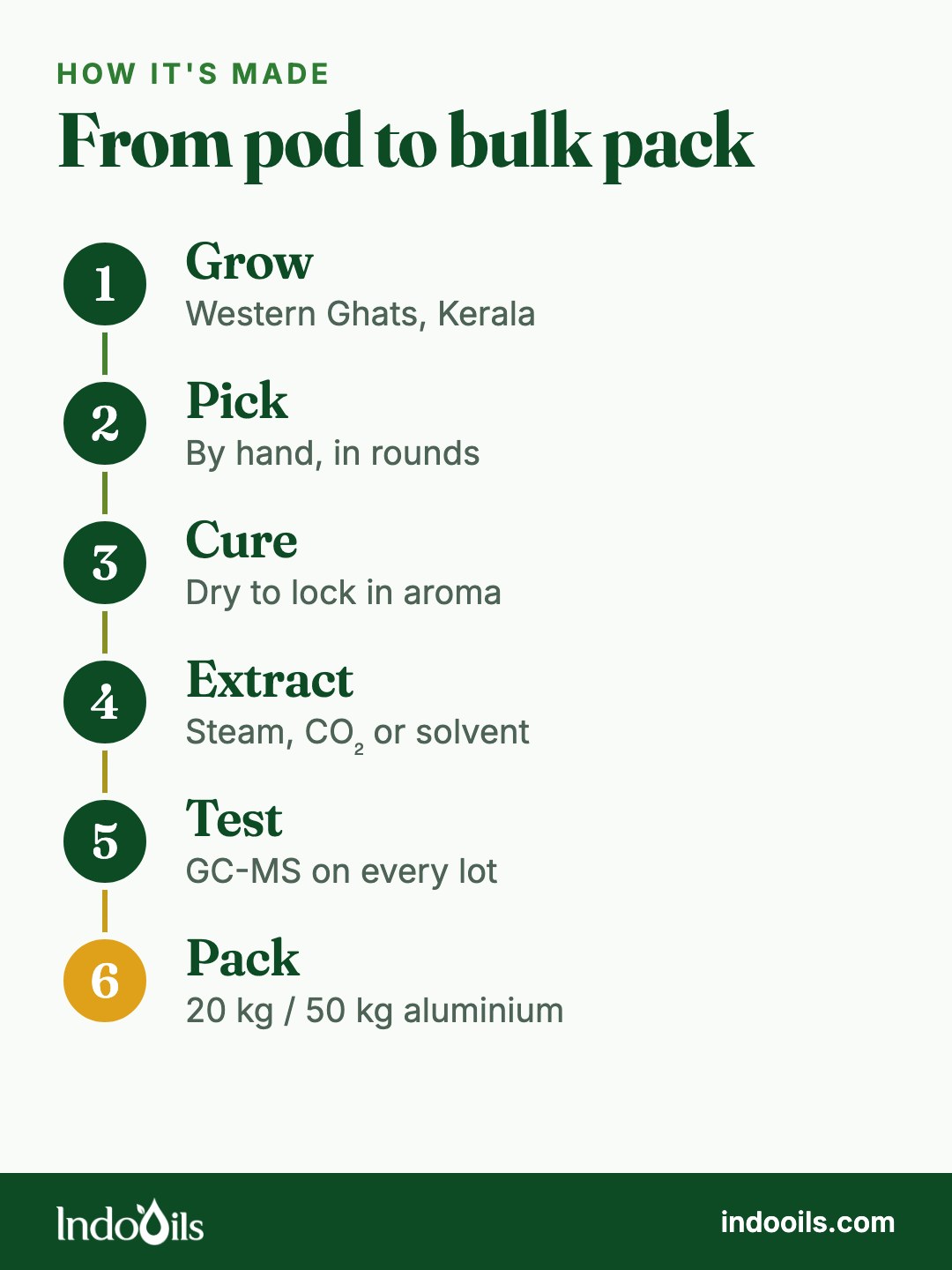 How Indian cardamom oil is made: grown in the Western Ghats, hand-picked, cured, extracted by steam, CO₂ or solvent, GC-MS tested and packed in 20 kg or 50 kg aluminium