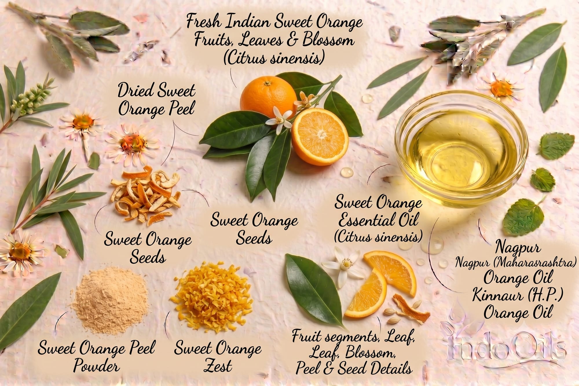 Sweet orange fruit, peel and sweet orange essential oil